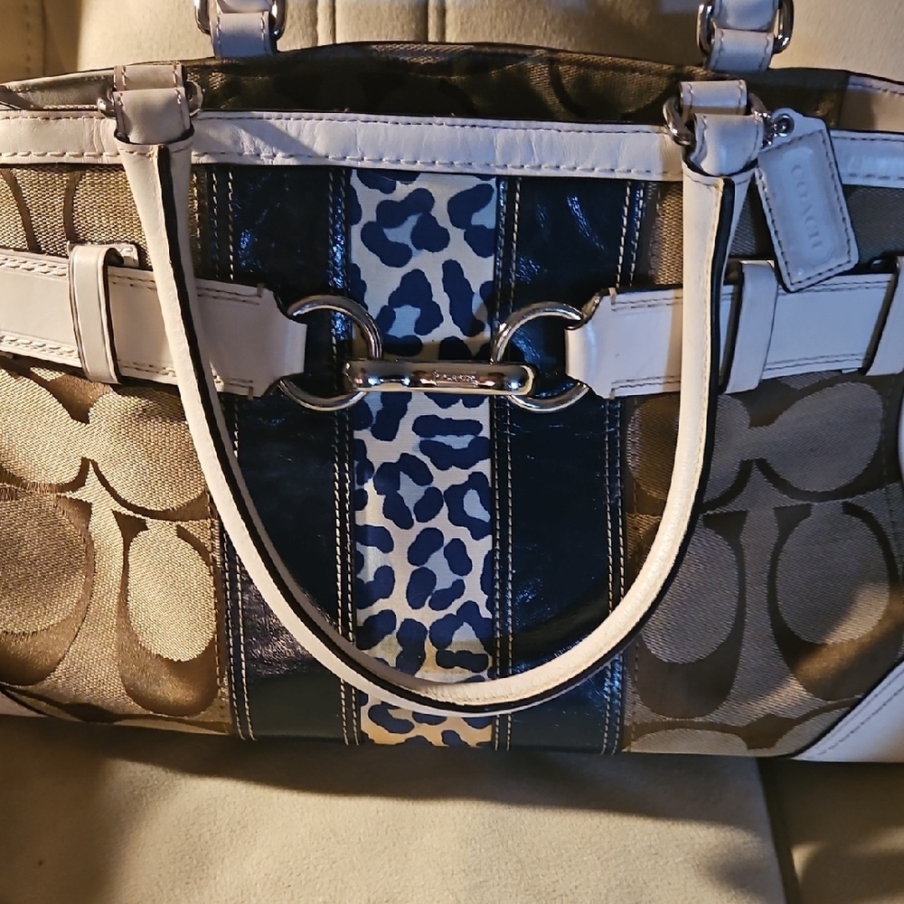 Coach Brown and Blue Signature Tote